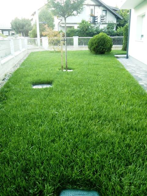 Travnjaci - travni tepisi i sijanje travnjaka1